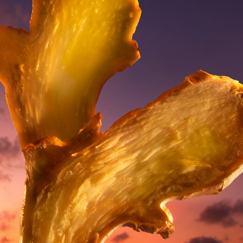 Azzaro The Most Wanted Parfum parfém pro muže (obrázek 5)