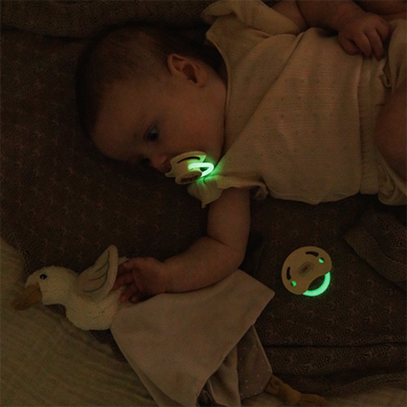 BabyOno Take Care Symmetrical Silicone Soothers dudlík Day & Night 0-6m 2 ks (obrázek 4)