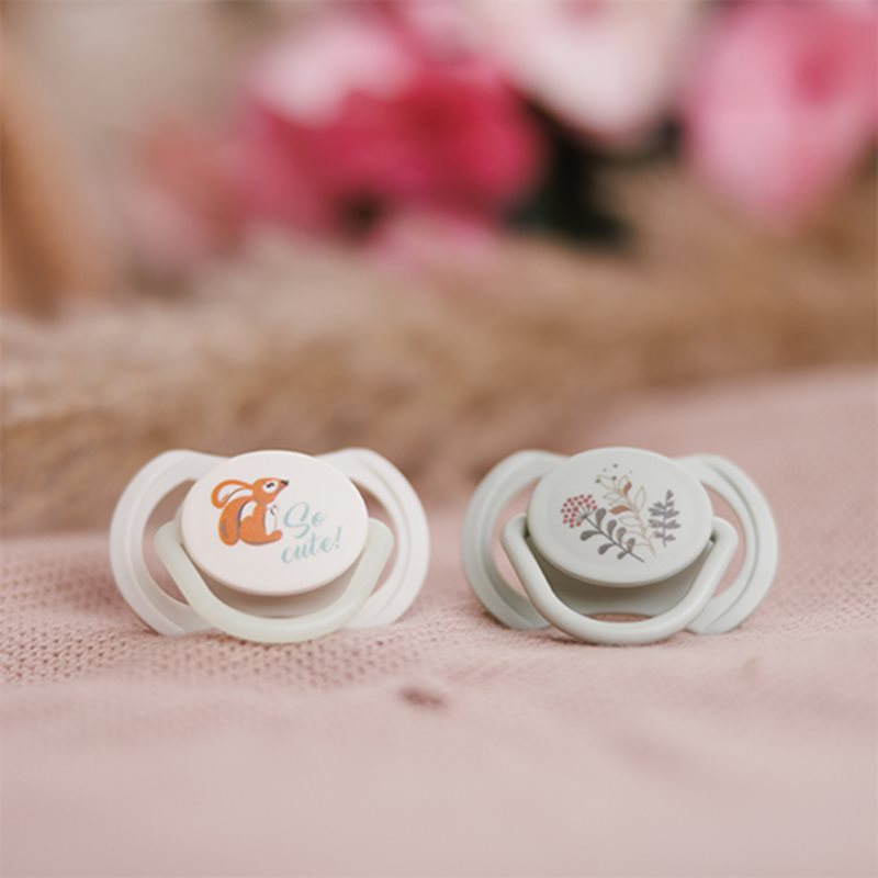 BabyOno Take Care Symmetrical Silicone Soothers dudlík Day & Night 6-18m+ 2 ks (obrázek 3)