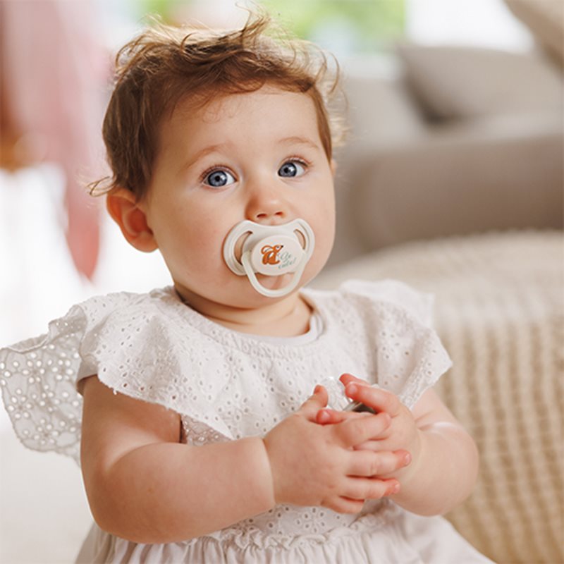 BabyOno Take Care Symmetrical Silicone Soothers dudlík Day & Night 6-18m+ 2 ks (obrázek 5)