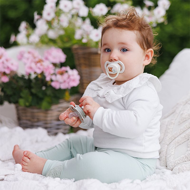 BabyOno Take Care Symmetrical Silicone Soothers dudlík Day & Night 6-18m+ 2 ks (obrázek 6)