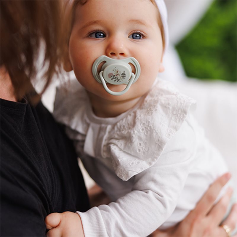BabyOno Take Care Symmetrical Silicone Soothers dudlík Day & Night 6-18m+ 2 ks (obrázek 10)