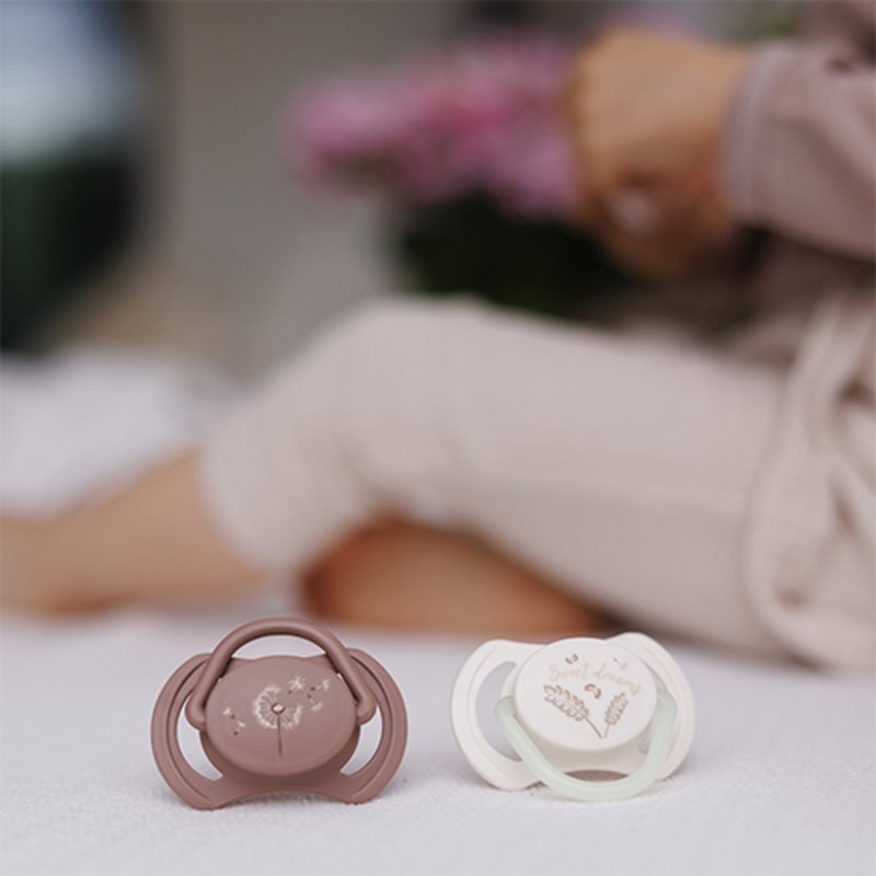 BabyOno Take Care Symmetrical Silicone Soothers dudlík Day & Night 18m+ 2 ks (obrázek 3)