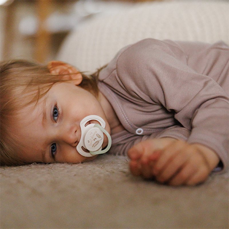 BabyOno Take Care Symmetrical Silicone Soothers dudlík Day & Night 18m+ 2 ks (obrázek 5)