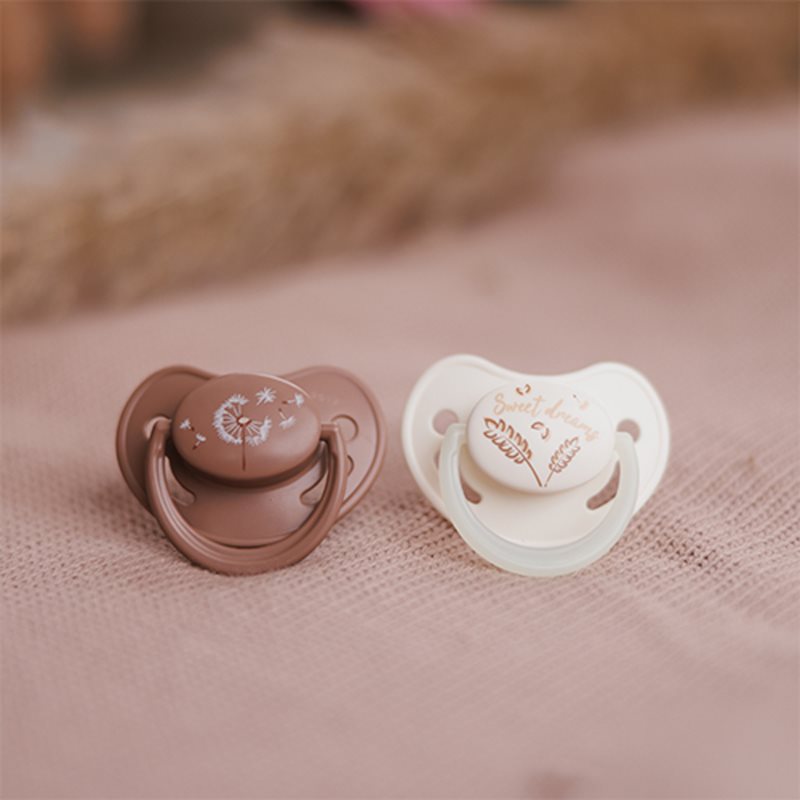 BabyOno Take Care Anatomical Silicone Soothers dudlík Day & Night 18m+ 2 ks (obrázek 3)
