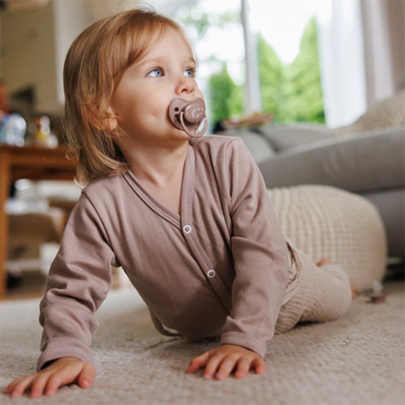 BabyOno Take Care Anatomical Silicone Soothers dudlík Day & Night 18m+ 2 ks (obrázek 5)