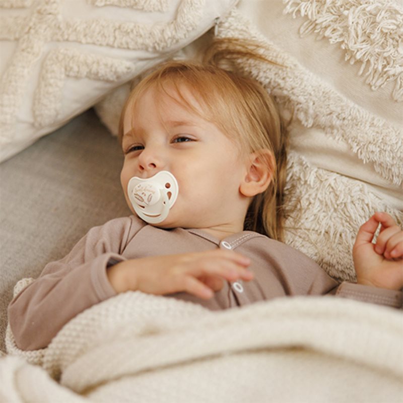 BabyOno Take Care Anatomical Silicone Soothers dudlík Day & Night 18m+ 2 ks (obrázek 6)