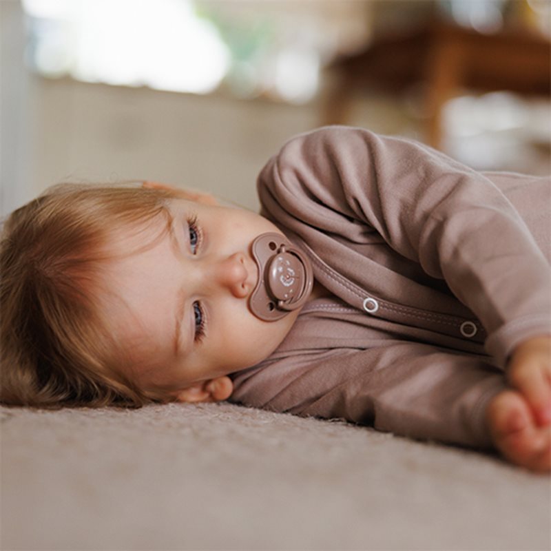 BabyOno Take Care Anatomical Silicone Soothers dudlík Day & Night 18m+ 2 ks (obrázek 7)