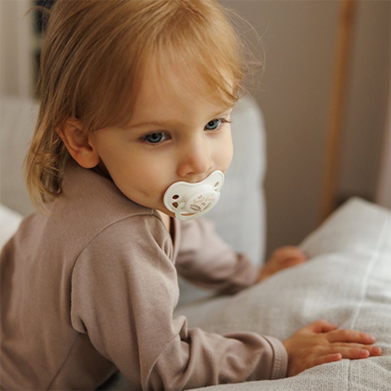 BabyOno Take Care Anatomical Silicone Soothers dudlík Day & Night 18m+ 2 ks (obrázek 9)