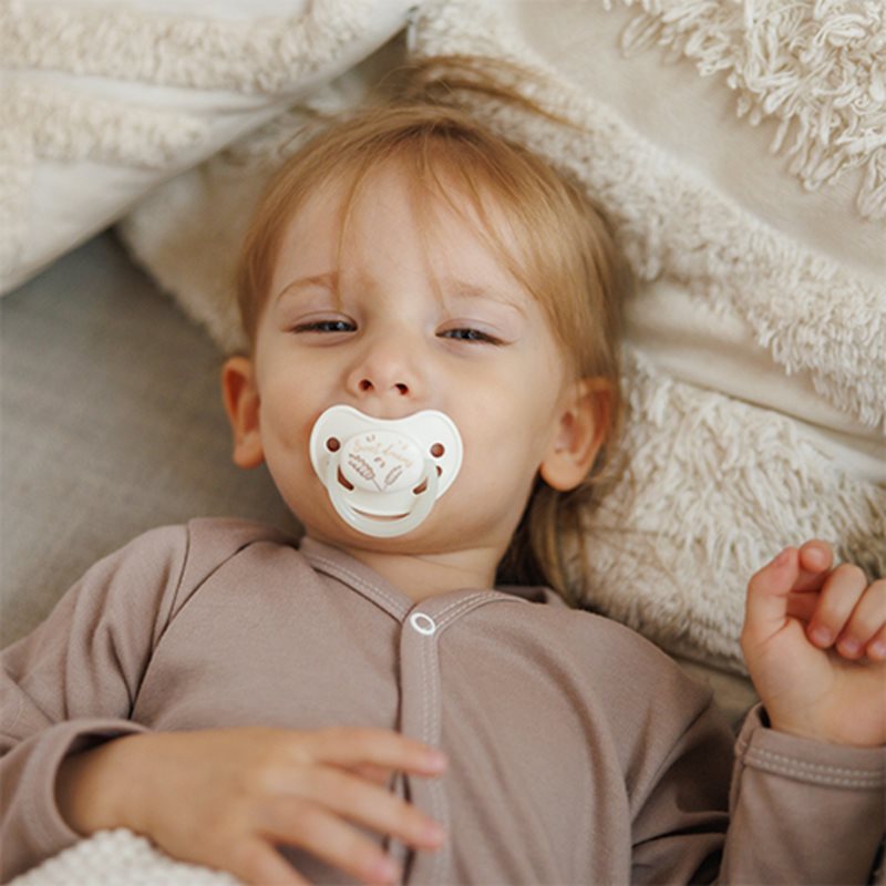 BabyOno Take Care Anatomical Silicone Soothers dudlík Day & Night 18m+ 2 ks (obrázek 10)