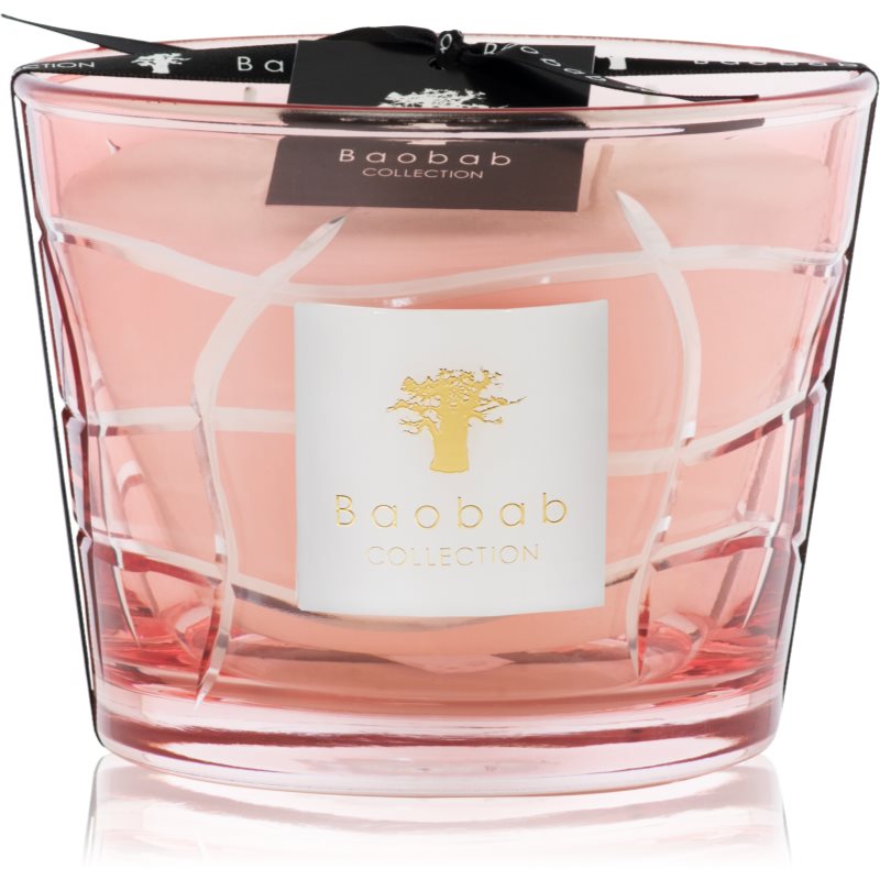 Baobab Collection Waves Malibu scented candle 10 cm
