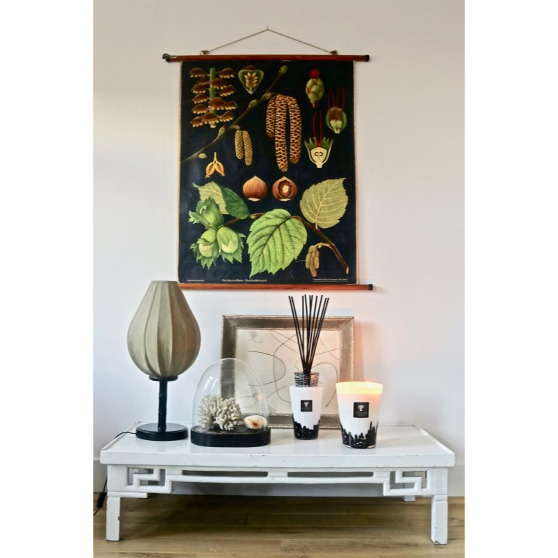 Baobab Collection Feathers Bougie Parfumée 24 Cm