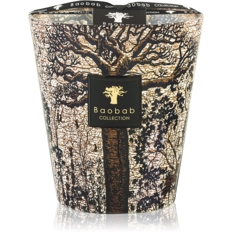 Baobab Collection Sacred Trees Morondo Scented Candle 16 Cm