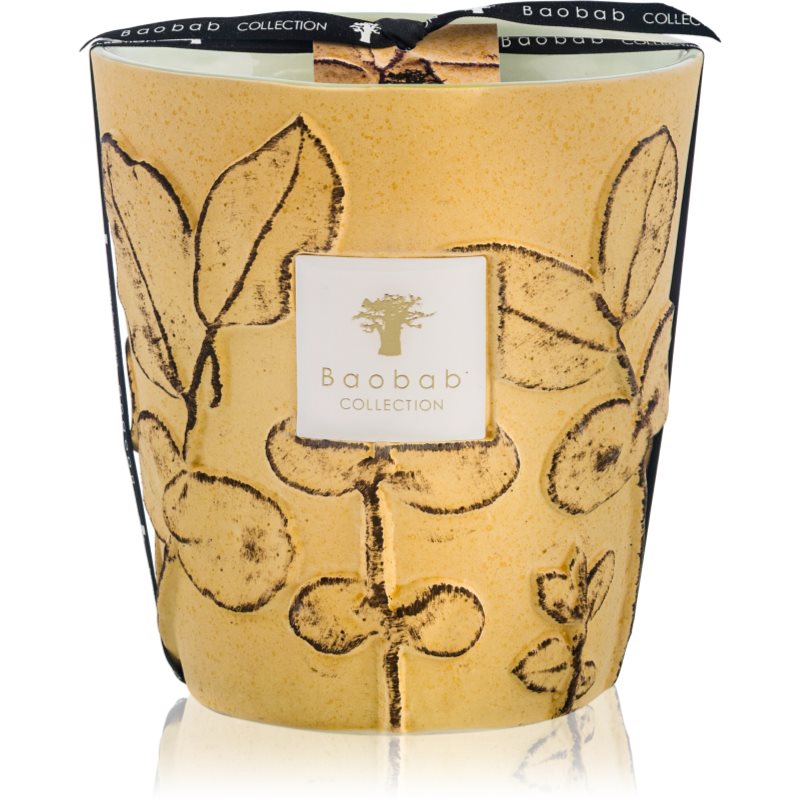 Baobab Collection Folia Garrigue vonná svíčka 16 cm