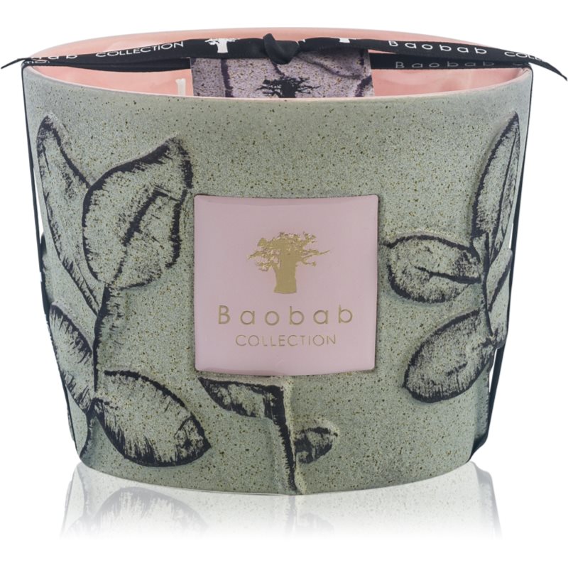 Baobab Collection Folia Maquis vonná svíčka 10 cm