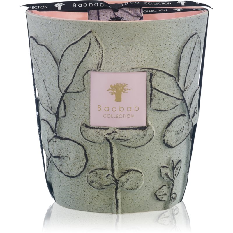 Baobab Collection Folia Maquis vonná svíčka 16 cm