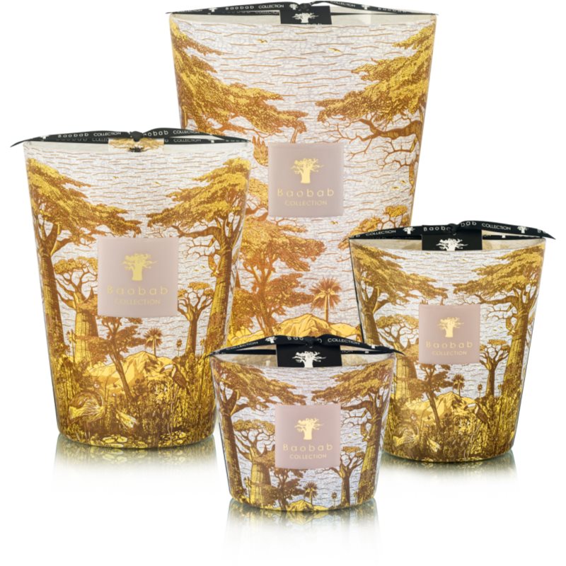Baobab Collection Sacred Trees Bounkani Duftkerze 1100 g (Bild 2)