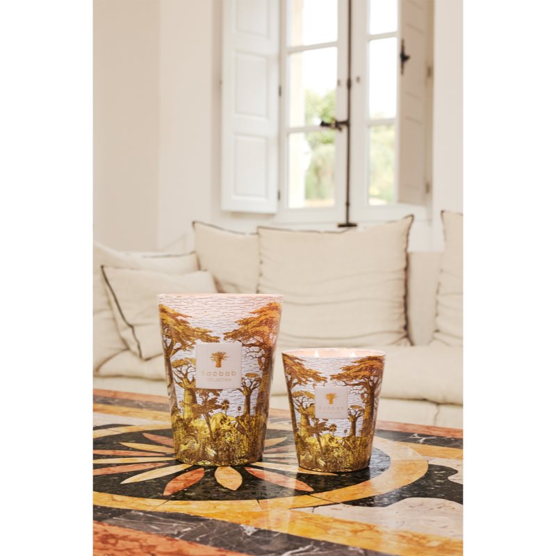 Baobab Collection Sacred Trees Bounkani Duftkerze 1100 g (Bild 3)