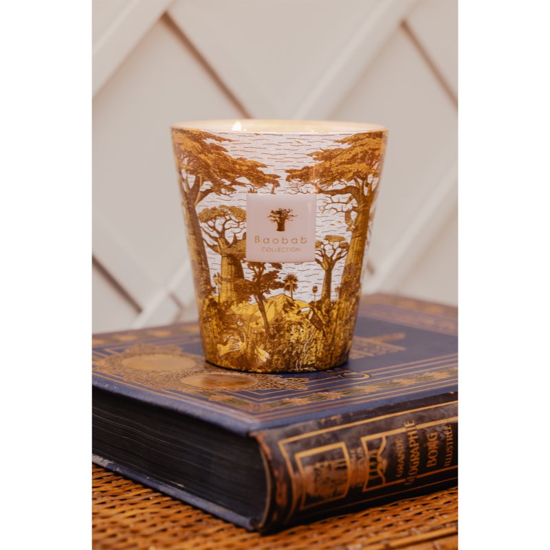 Baobab Collection Sacred Trees Bounkani Duftkerze 1100 g (Bild 4)