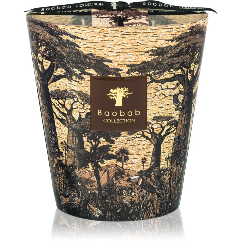 Baobab Collection Sacred Trees Mankono dišeča sveča 1100 g