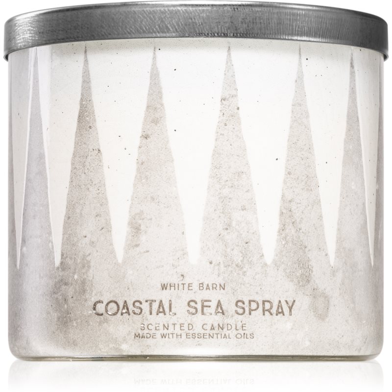 

Bath & Body Works Coastal Sea Spray aроматична свічка