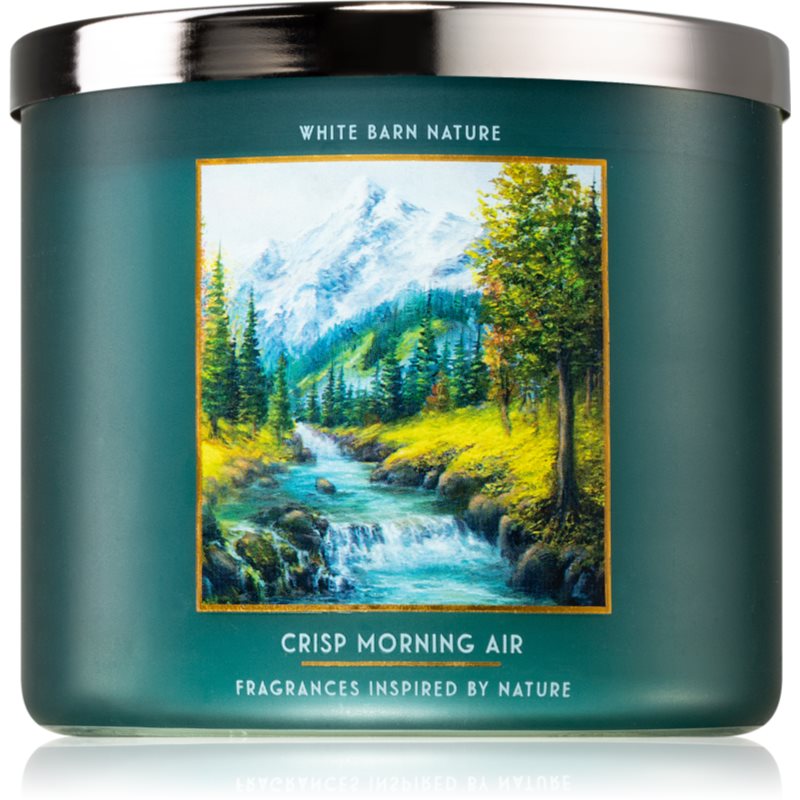 Bath & Body Works Crisp Morning Air scented candle 411 g
