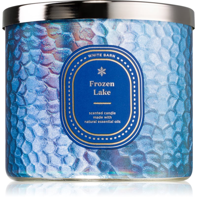Bath & Body Works Frozen Lake scented candle 411 g
