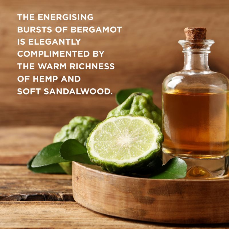 Baylis & Harding The Fuzzy Duck Bergamot, Hemp & Sandalwood подарунковий набір для тіла для чоловіків