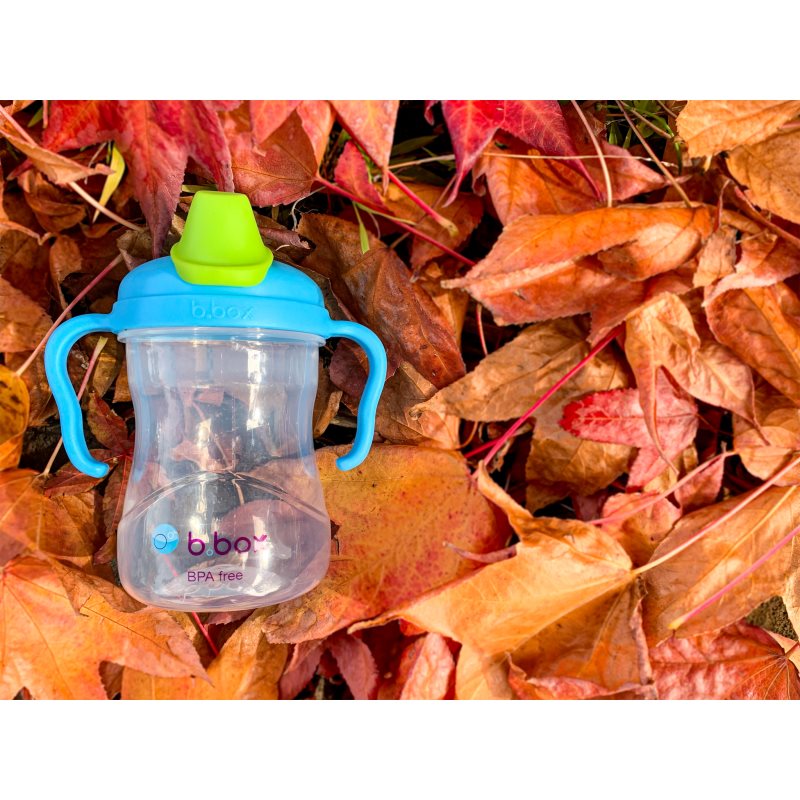 b.box Spout Cup hrnek s držadly Blueberry 4m+ 240 ml (obrázek 6)