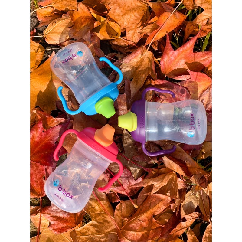 b.box Spout Cup hrnek s držadly Blueberry 4m+ 240 ml (obrázek 8)