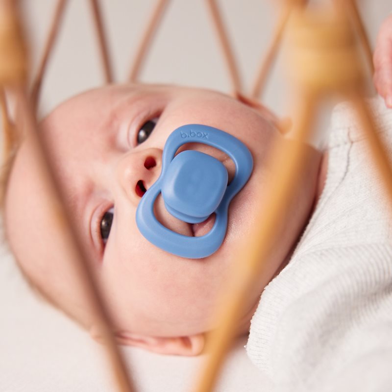 B.Box Silicone 6m+ dudlík Ocean/Sky 2 ks (obrázek 6)