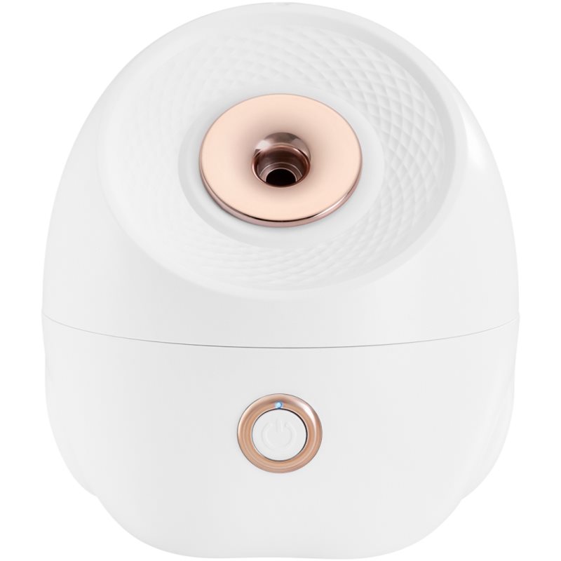 Beautifly SkinMist Pro Sauna für das Gesicht 1 St.