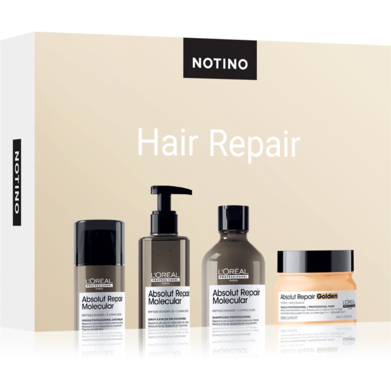 Beauty Discovery Box Notino Hair Repair (L'Oréal Professionnel) set za ženske