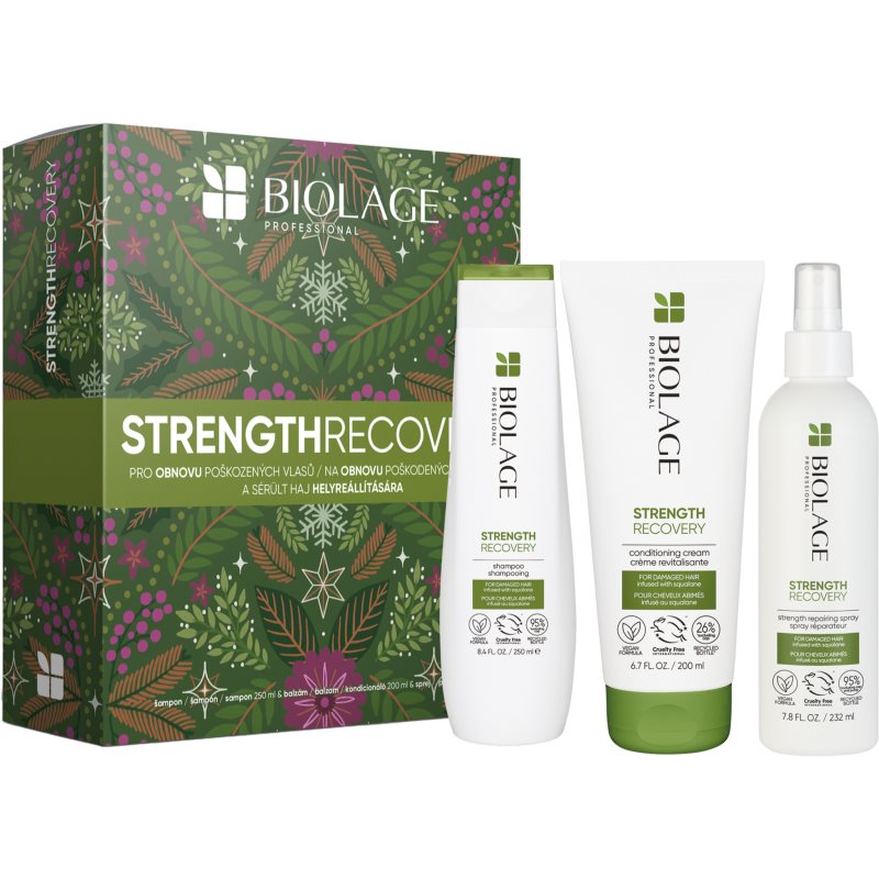 Biolage Biolage Strength Recovery σετ δώρου (για κατεστραμμένα μαλλιά)