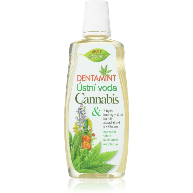 Bione Cosmetics Dentamint ústní voda příchuť Cannabis 500 ml