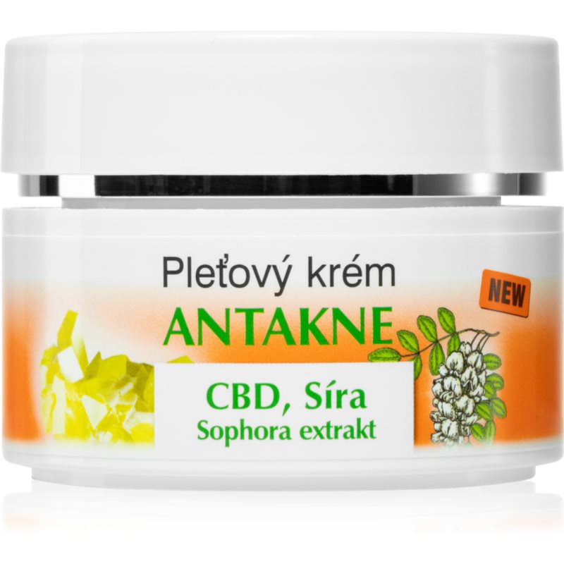 Bione Cosmetics Antakne face cream with sulphur 51 ml
