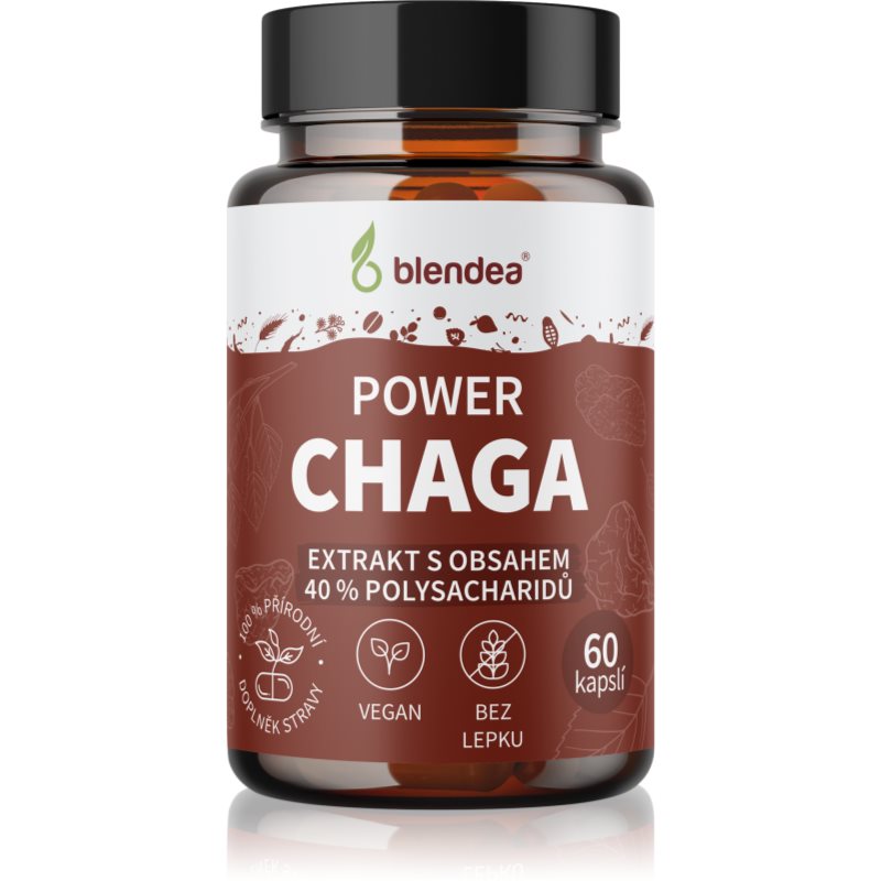 Blendea Power Chaga kapsle s antioxidačním účinkem 60 cps