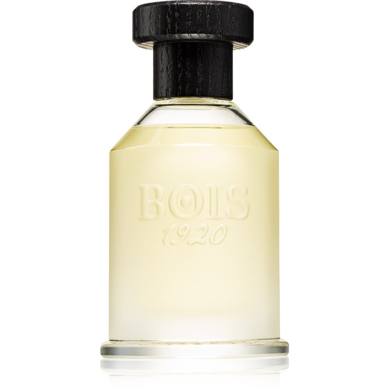 Bois 1920 Classic 1920 parfumska voda uniseks 100 ml