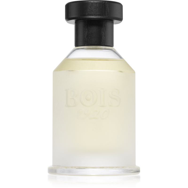 Bois 1920 Classic 1920 Eau de Parfum unisex 100 ml