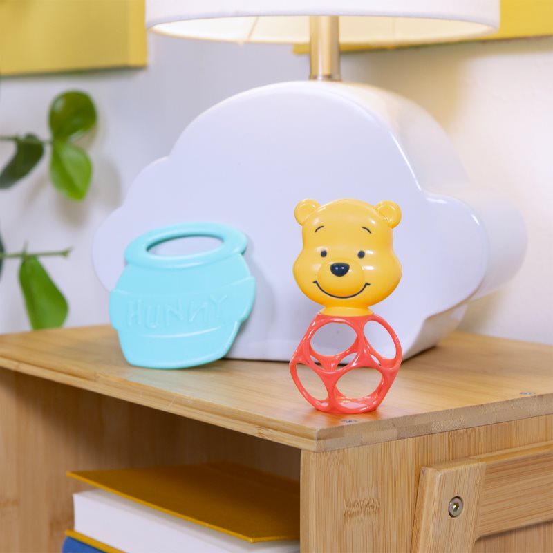 Bright Starts Hunny & Shake Winnie the Pooh kousátko s chrastítkem 2 ks (obrázek 8)