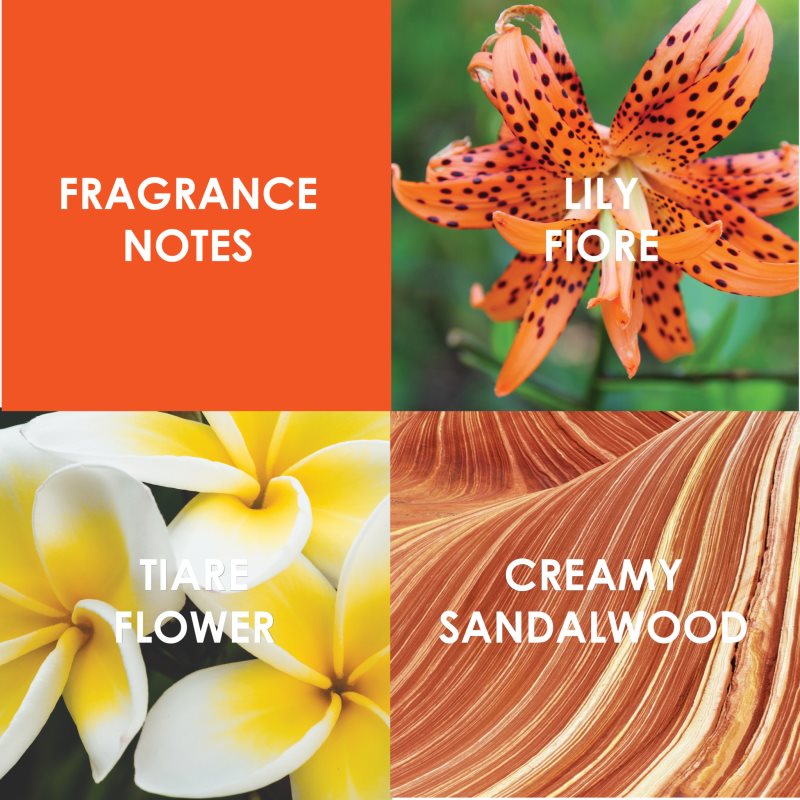 Britney Spears Fantasy Blissful Eau De Toilette Pour Femme 100 Ml