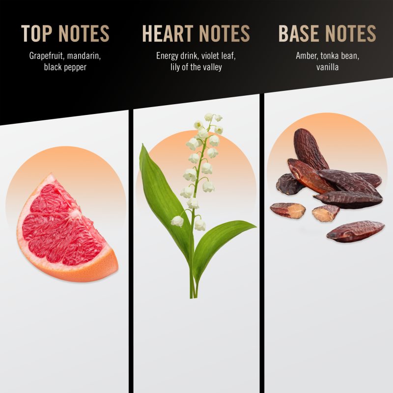 Bruno Banani Absolute Man deodorant ve spreji pro muže 150 ml (obrázek 3)