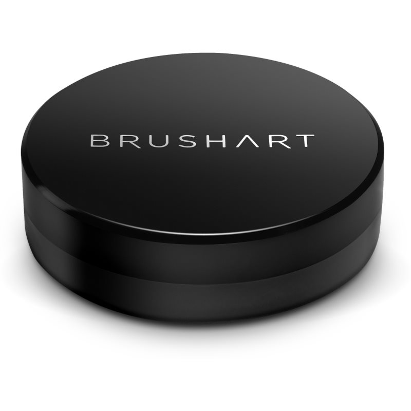 BrushArt Professional Brush Cleaning Sponge Dry Brush-cleaning Sponge 1 Pc