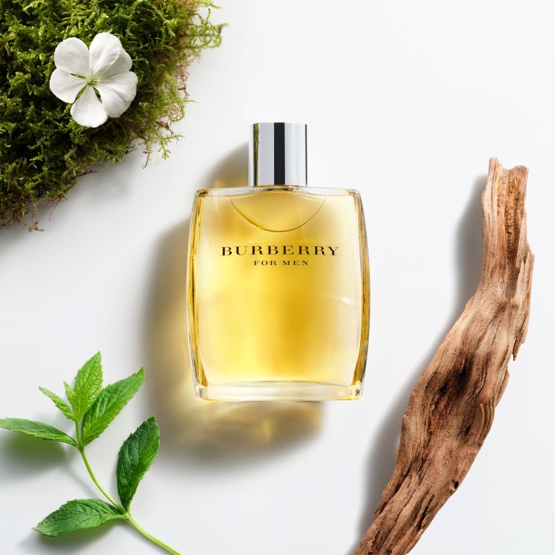 Burberry Burberry for Men toaletní voda pro muže 100 ml (obrázek 3)