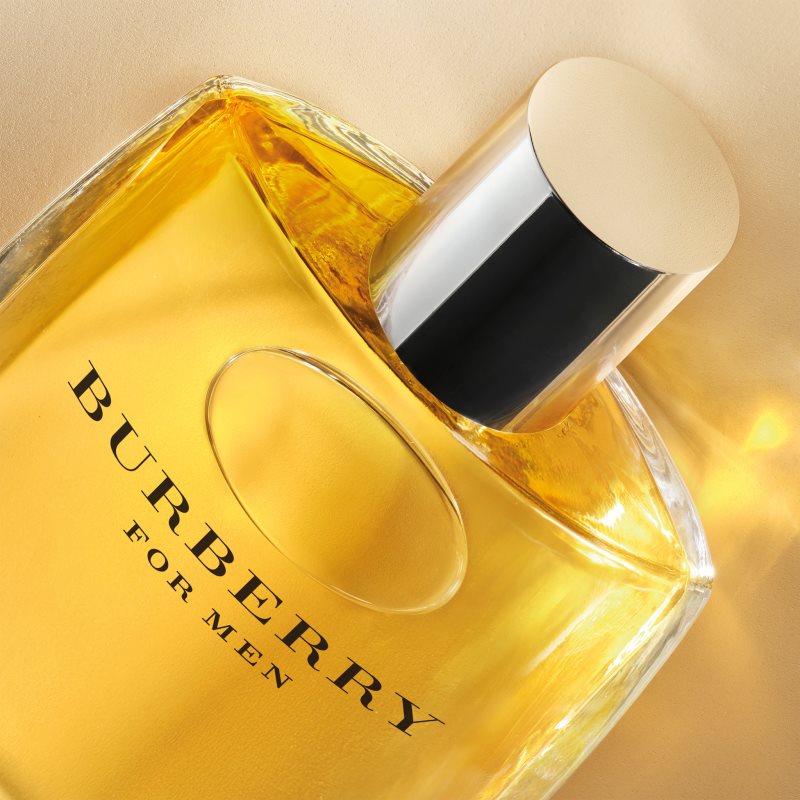 Burberry Burberry for Men toaletní voda pro muže 100 ml (obrázek 5)
