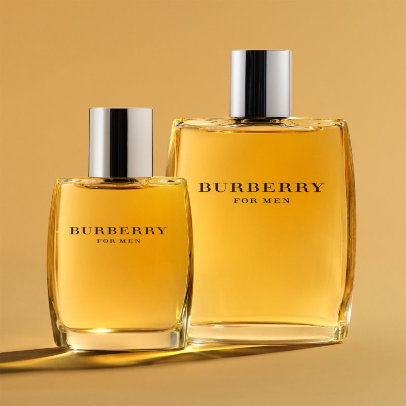 Burberry Burberry for Men toaletní voda pro muže 100 ml (obrázek 6)