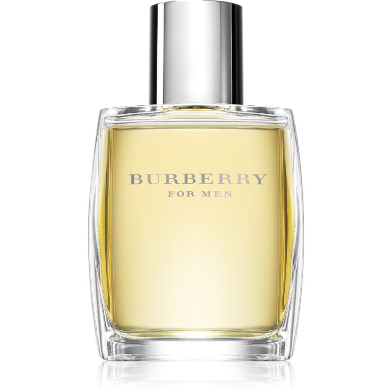 Burberry Burberry for Men eau de toilette for men 50 ml