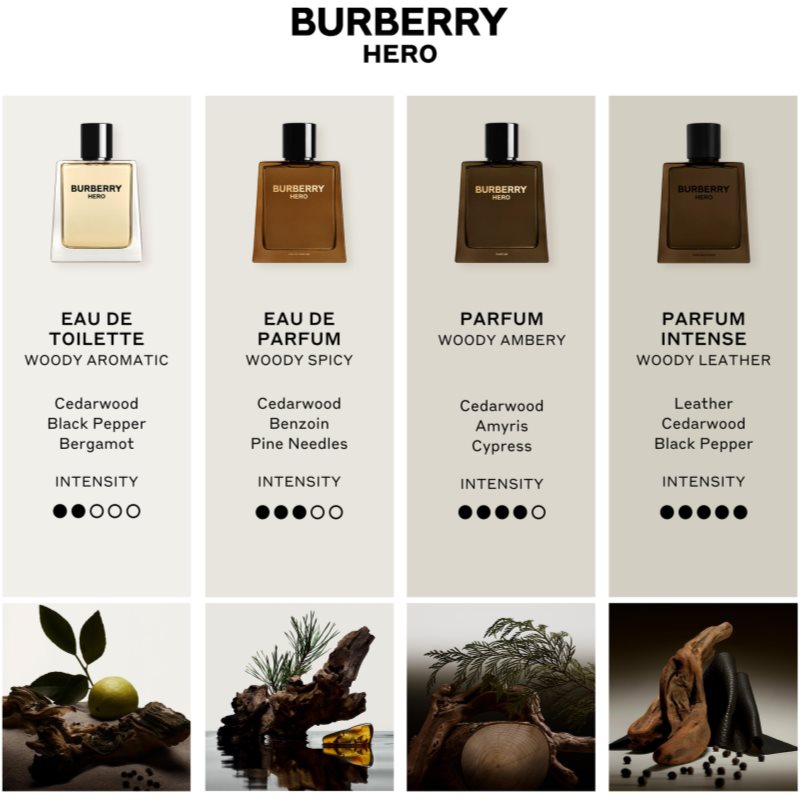 Burberry Hero Eau de Parfum parfumovaná voda plniteľná pre mužov 100 ml