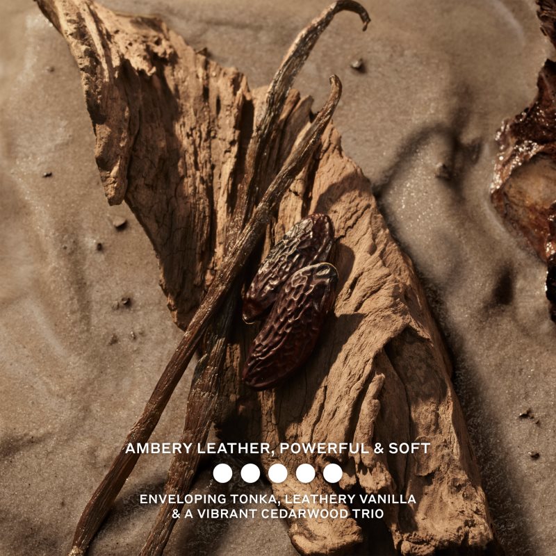 Burberry Hero Elixir de Parfum parfém intense pro muže 60 ml (obrázek 5)