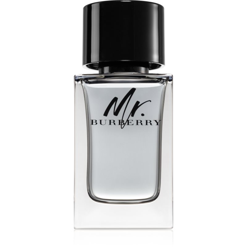Burberry Mr. Burberry eau de toilette for men 100 ml